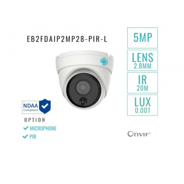 IP Eyeball 2MP Camera