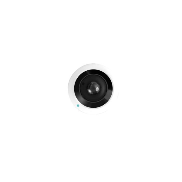 IP Fisheye 12MP Camera with AI