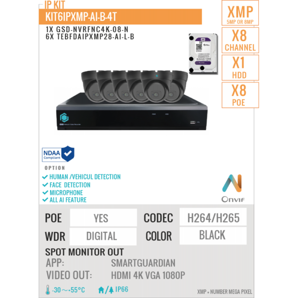IP AI KIT - 8 ports-8MP/4K + 6 x 8MP cameras + HDD
