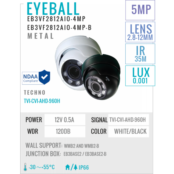 AIO Metal Eyeball 5MP Camera